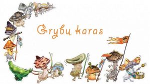 Grybų karas