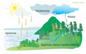 vandens apytakos ratas