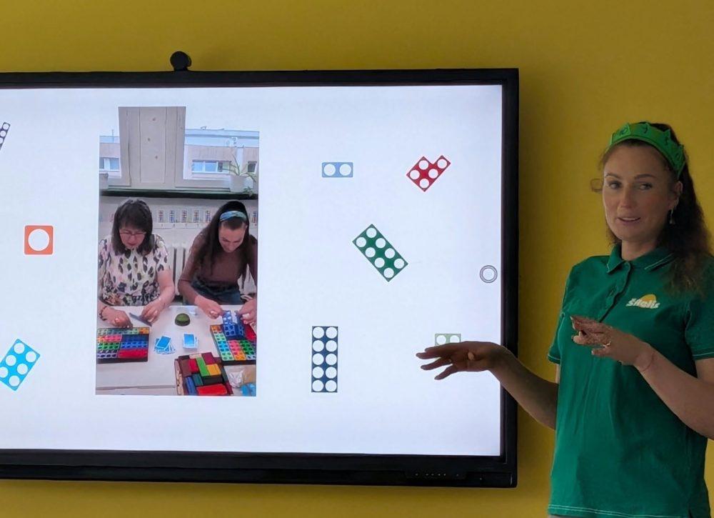 „Numicon“ yra vizualinė ir apčiuopiamoji matematikos mokymo sistema, sukurta Oksfordo universitete, skirta padėti vaikams lengviau suprasti skaičius, jų reikšmes ir tarpusavio ryšius. Pagrindinis šios metodikos principas – matematinių sąvokų vizualizavimas per specialias spalvotas plastikinio pagrindo kaladėles su skylutėmis, kurios atitinka skaičius nuo 1 iki 10.
